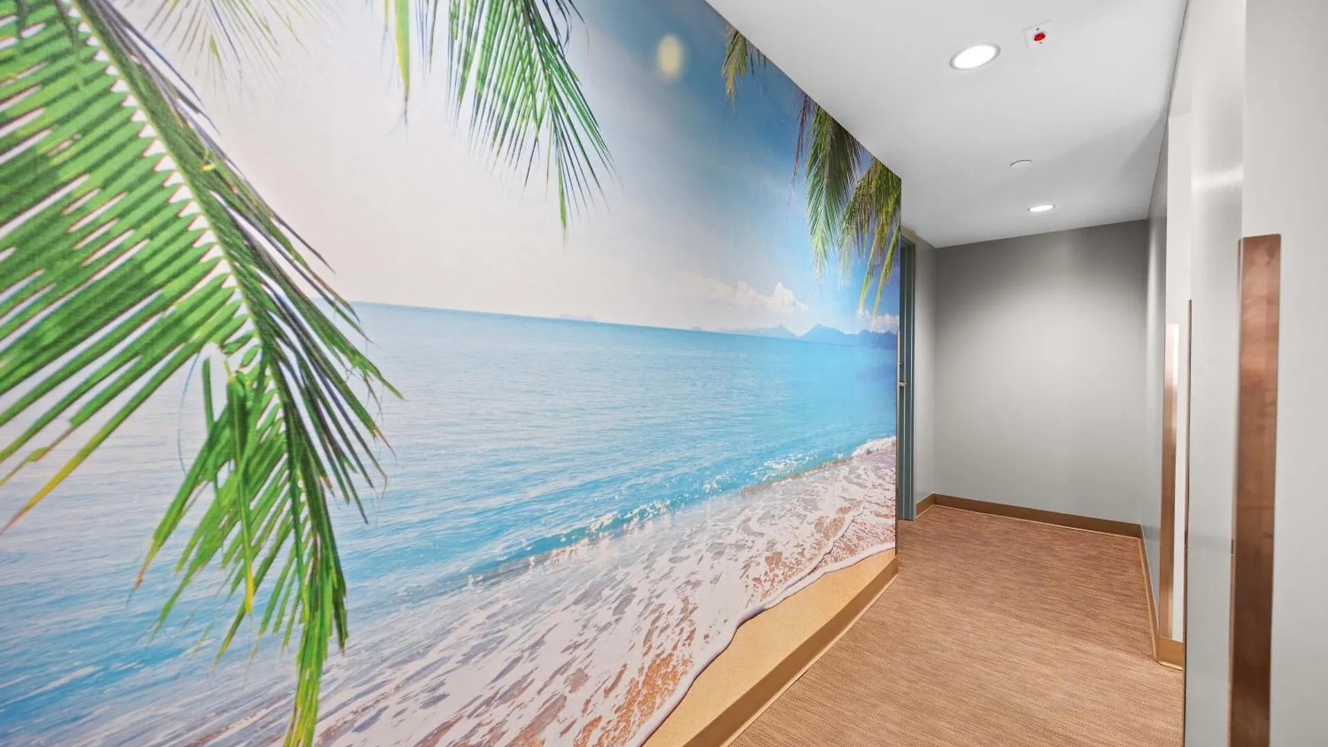Apartmán Rare Deluxe Ocean View Gem With Free Parking Honolulu