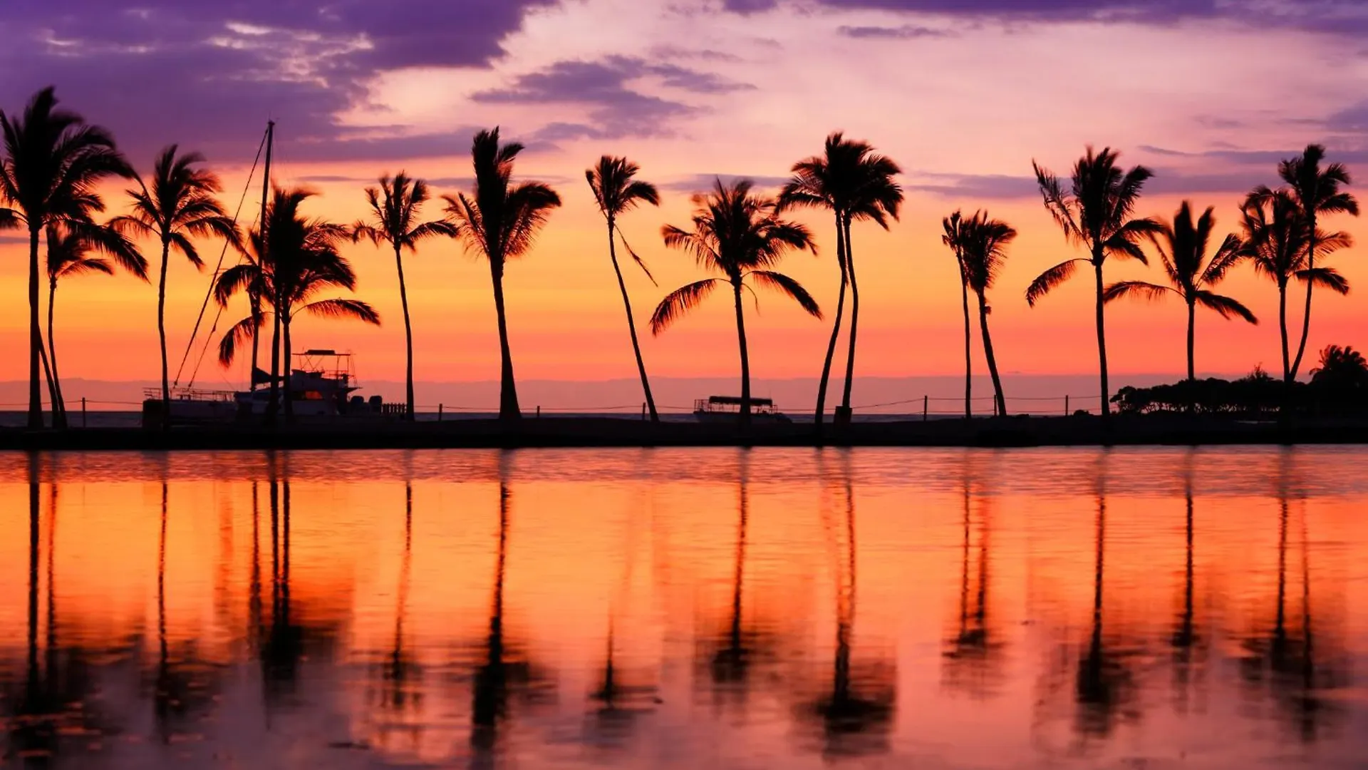 Apartament Rare Deluxe Ocean View Gem With Free Parking Honolulu