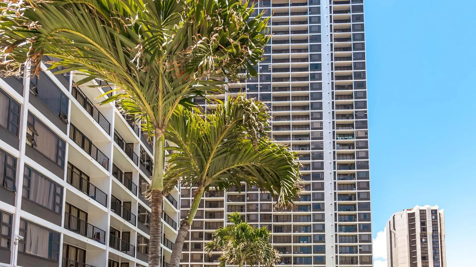 Rare Deluxe Ocean View Gem With Free Parking Apartment Honolulu