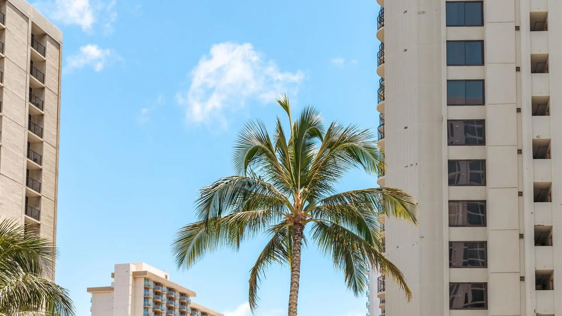Rare Deluxe Ocean View Gem With Free Parking Apartment Honolulu 0*,