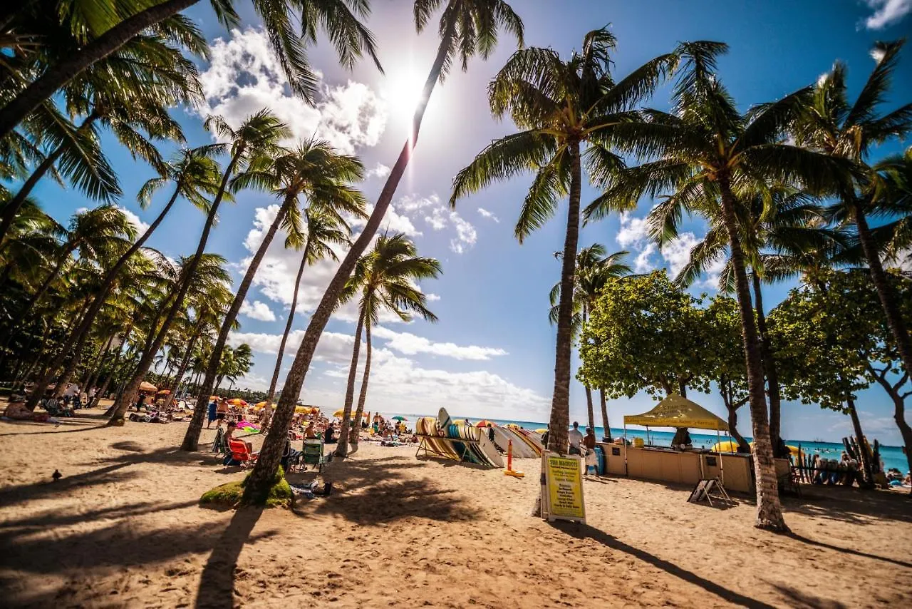 Rare Deluxe Ocean View Gem With Free Parking Apartment Honolulu 0*,
